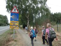 Wanderreise Nord-Spanien – Jakobsweg und Atlantik (592)