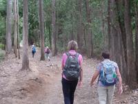 Wanderreise Nord-Spanien – Jakobsweg und Atlantik (593)