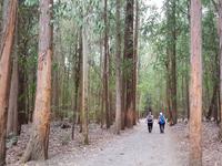 Wanderreise Nord-Spanien – Jakobsweg und Atlantik (594)