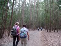 Wanderreise Nord-Spanien – Jakobsweg und Atlantik (596)