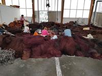 Wanderreise Nord-Spanien – Jakobsweg und Atlantik (697)