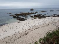 Wanderreise Nord-Spanien – Jakobsweg und Atlantik (711)