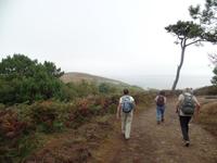 Wanderreise Nord-Spanien – Jakobsweg und Atlantik (714)