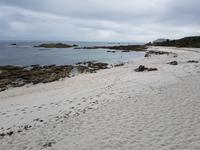 Wanderreise Nord-Spanien – Jakobsweg und Atlantik (742)