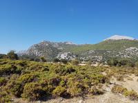 Single-Wanderreise Spanien – sonniges Andalusien (25)