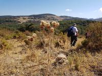 Single-Wanderreise Spanien – sonniges Andalusien (29)