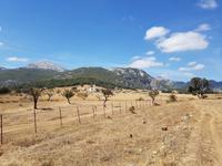 Single-Wanderreise Spanien – sonniges Andalusien (41)