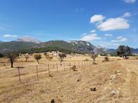 Single-Wanderreise Spanien – sonniges Andalusien (43)