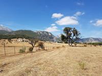 Single-Wanderreise Spanien – sonniges Andalusien (46)