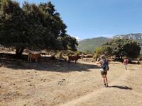 Single-Wanderreise Spanien – sonniges Andalusien (53)