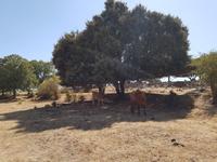 Single-Wanderreise Spanien – sonniges Andalusien (54)