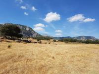 Single-Wanderreise Spanien – sonniges Andalusien (55)