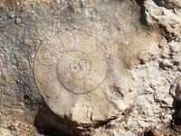 Single-Wanderreise Spanien – sonniges Andalusien (166)