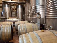 Single-Wanderreise Spanien – sonniges Andalusien (191)