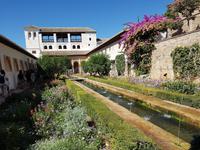 Single-Wanderreise Spanien – sonniges Andalusien (329)