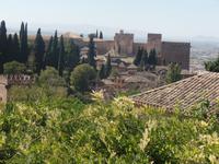 Single-Wanderreise Spanien – sonniges Andalusien (365)