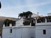 Single-Wanderreise Spanien – sonniges Andalusien (439)