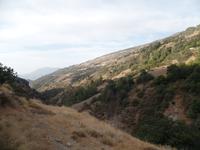 Single-Wanderreise Spanien – sonniges Andalusien (443)