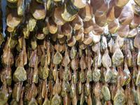 Single-Wanderreise Spanien – sonniges Andalusien (477)