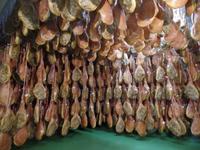 Single-Wanderreise Spanien – sonniges Andalusien (484)