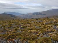 Single-Wanderreise Spanien – sonniges Andalusien (500)