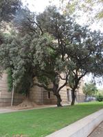 Stadtrundfahrt Barcelona