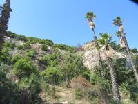 Stadtrundfahrt Barcelona