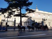 Exklusive Städtereise Madrid in kleiner Reisegruppe (115)