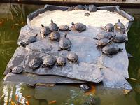 Exklusive Städtereise Madrid in kleiner Reisegruppe (271)