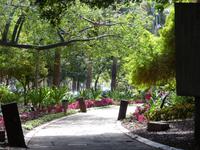 Santa Cruz Teneriffa 3