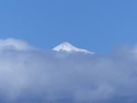 Schiffsüberfahrt Teneriffa - La Gomera 1