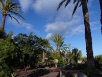 San Sebastian La Gomera 7