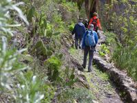 Wanderung bei Alajero 3