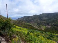 Wanderung Las Rosas - Vallehermoso 7