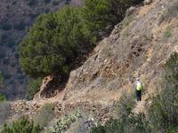 Wanderung Las Rosas - Vallehermoso 10