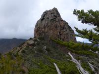 Wanderung Las Rosas - Vallehermoso 13