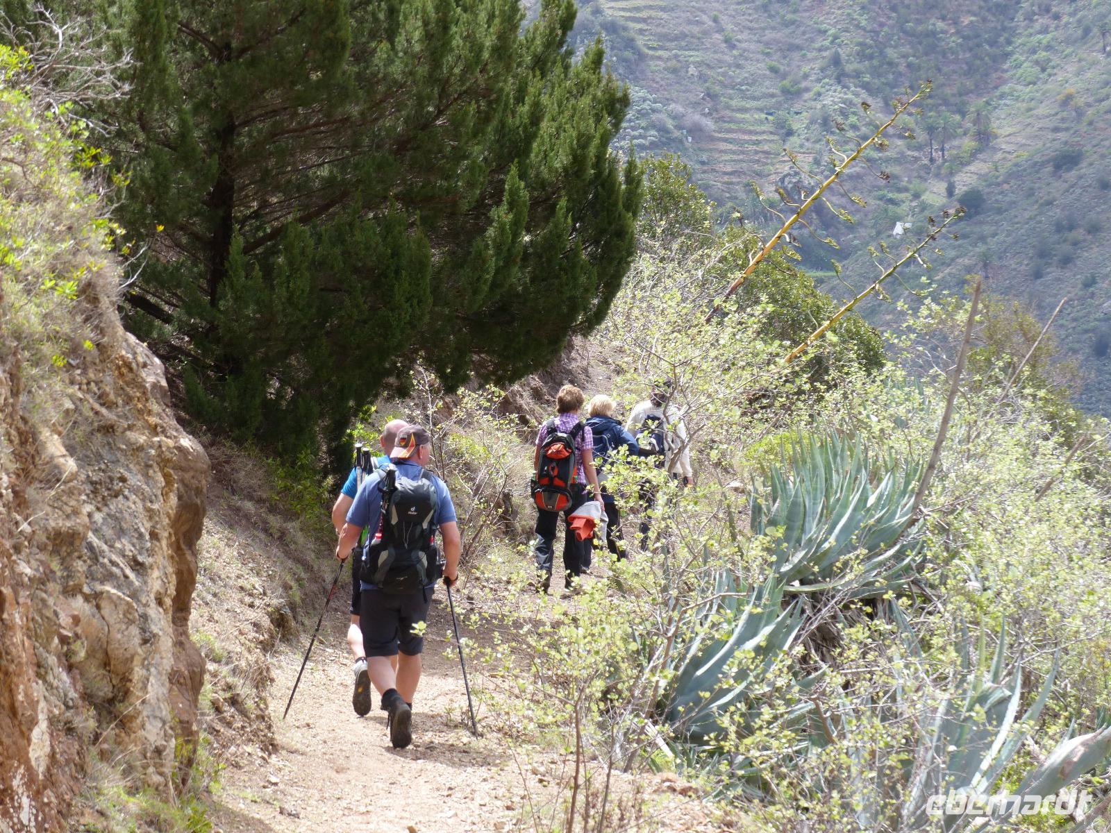 Wanderung Las Rosas - Vallehermoso 18
