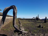 Spanien, El Hierro, Jinama Aussichtspunkt
