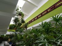 Spanien, El Hierro, Pozo de la Salud, Kurhotel