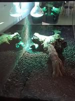 Spanien, El Hierro, ECO Museum und Lagatario