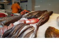 Spanien, Teneriffa, Santa Cruz, Fischmarkt