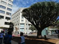 Spanien, Teneriffa, Santa Cruz