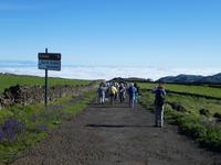 Spanien, El Hierro, Wanderung Hochweiden