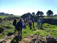 Spanien, El Hierro, Wanderung Hochweiden