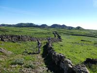 Spanien, El Hierro, Wanderung Hochweiden