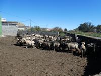Spanien, El Hierro, San Andres
