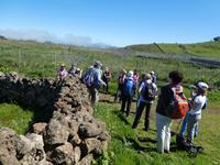 Spanien, El Hierro, Wanderung Hochweiden