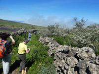 Spanien, El Hierro, Wanderung Hochweiden
