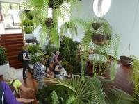 Spanien, El Hierro, Mirador de la Pena