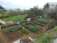 Spanien, El Hierro,El Mocanal